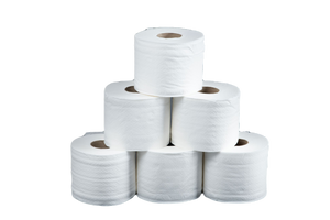 Two-Ply Toilet Tissue 500 Sheets/Roll, 96 Rolls/Carton